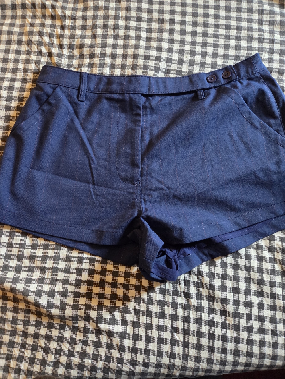 Free People Navy Blue Pinstripe Shorts